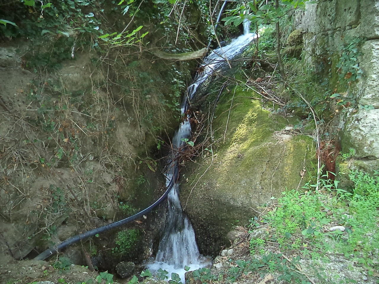 DSC08793.JPG DSC08793.JPG