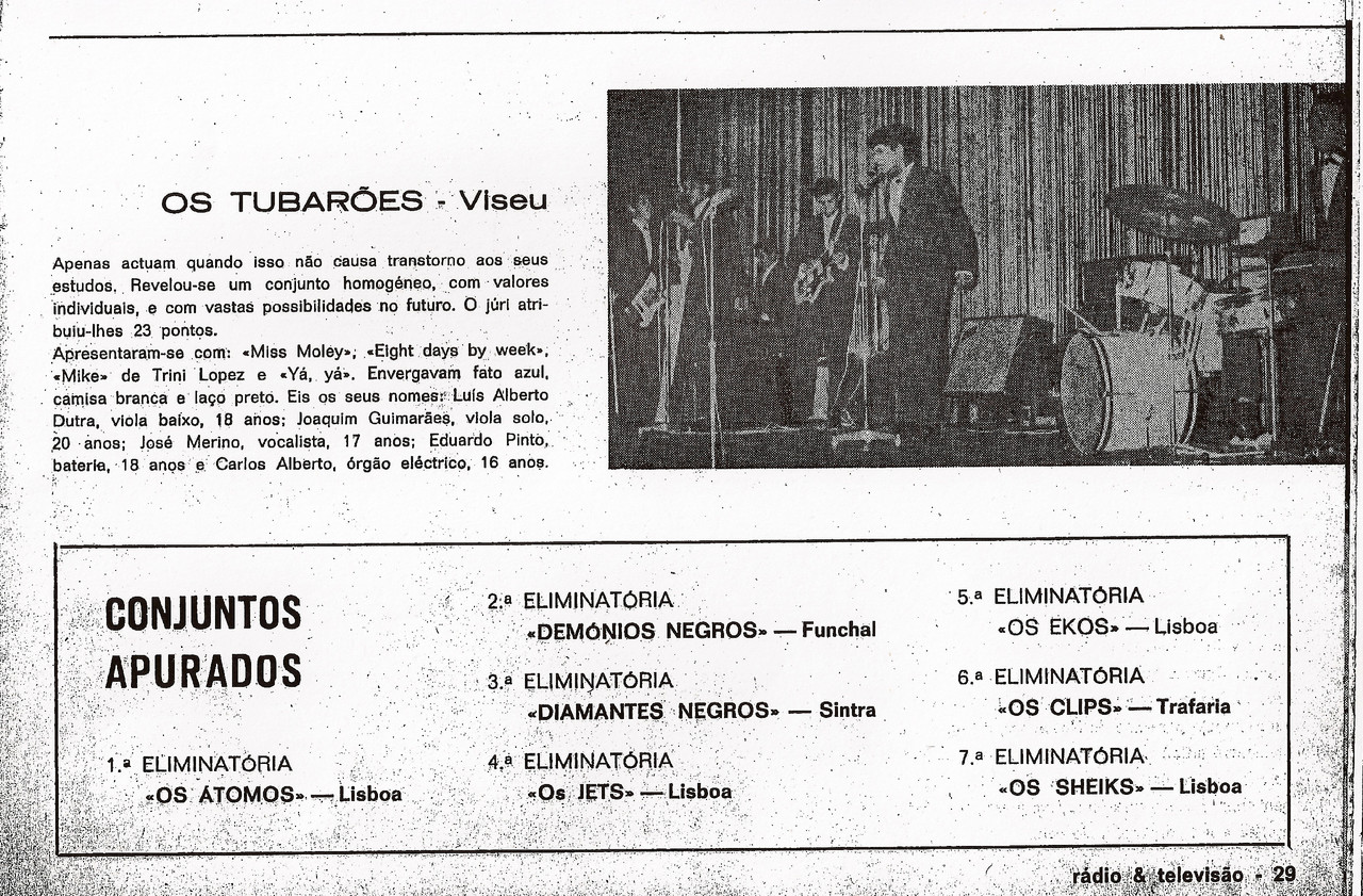 02 03 tubarões1.jpg 02 03 tubarões1.jpg