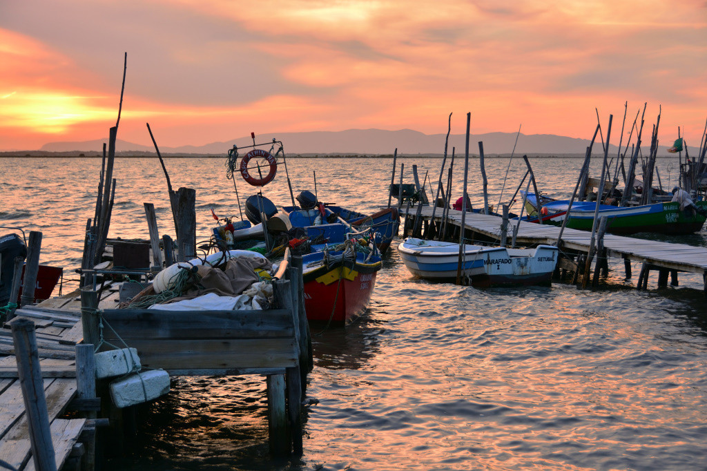 DSC_2991_01_00040.jpg DSC_2991_01_00040.jpg