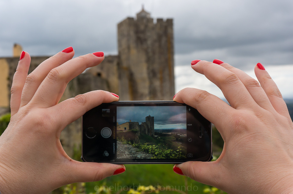 DSC01203.jpg DSC01203.jpg