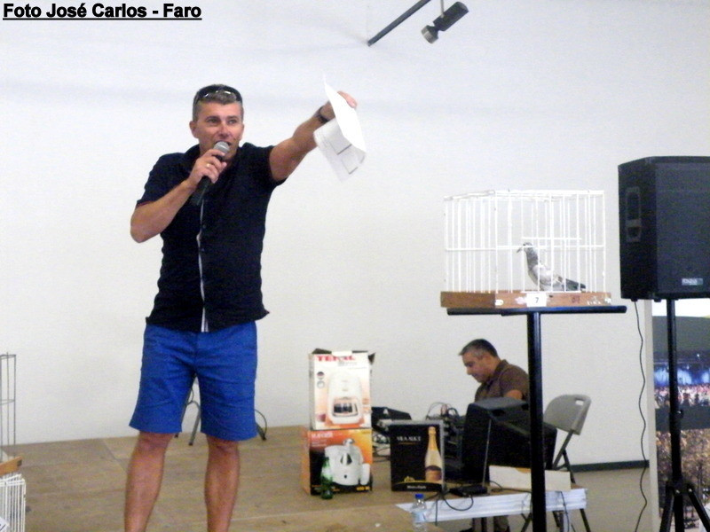 Leilão Serpa 2017 059.JPG