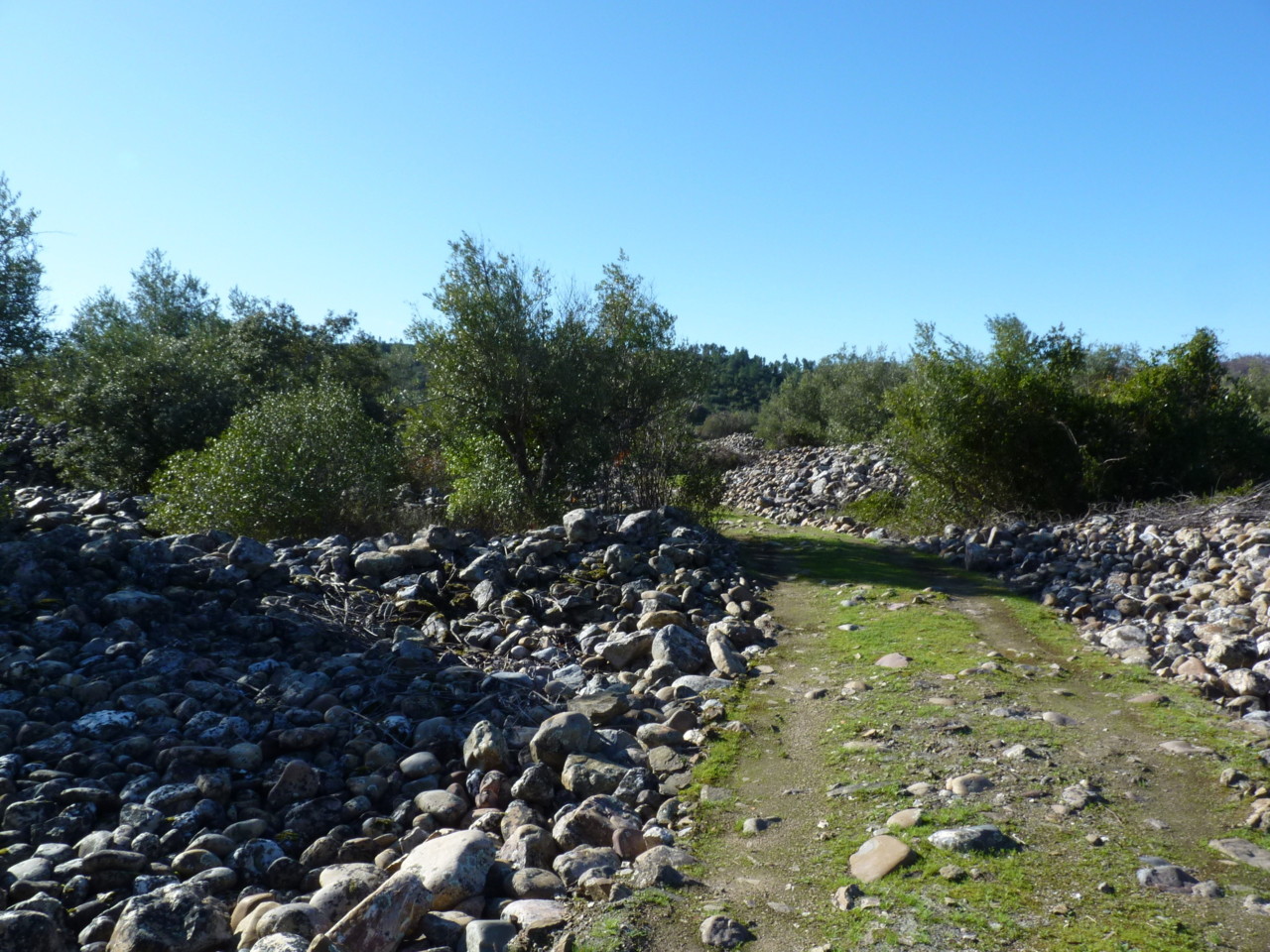 Trilho da mina de ouro do Conhal (11).JPG