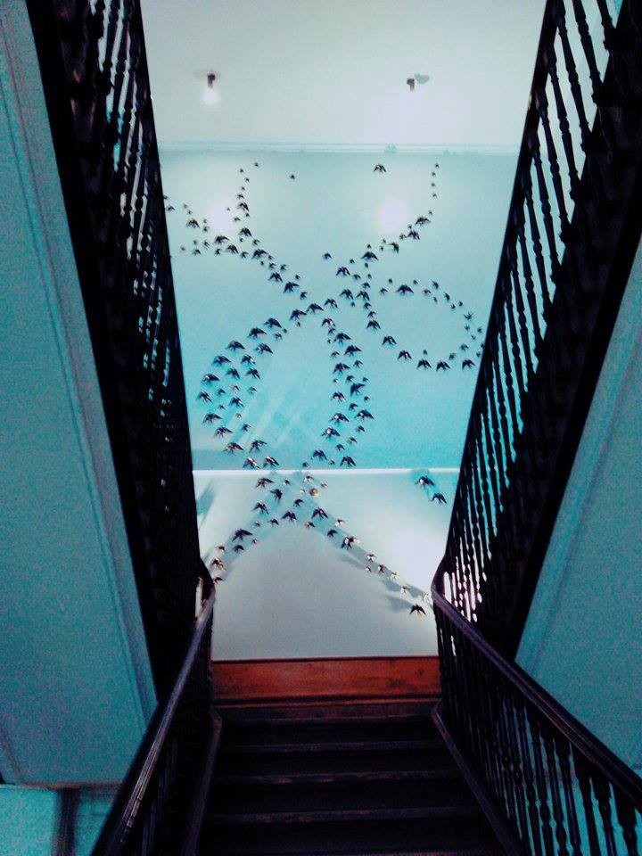 17799438_1314963908579312_1080763291469384232_n.jp