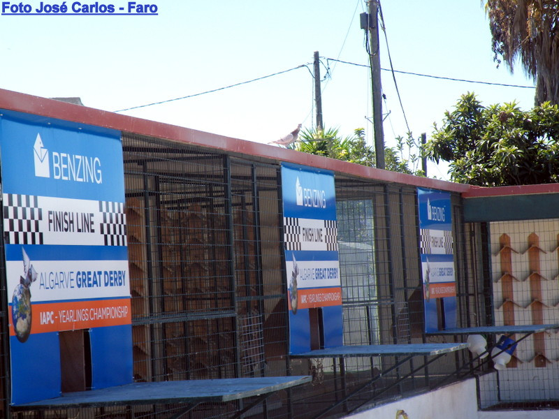 Derby Olhão 2016 027.JPG