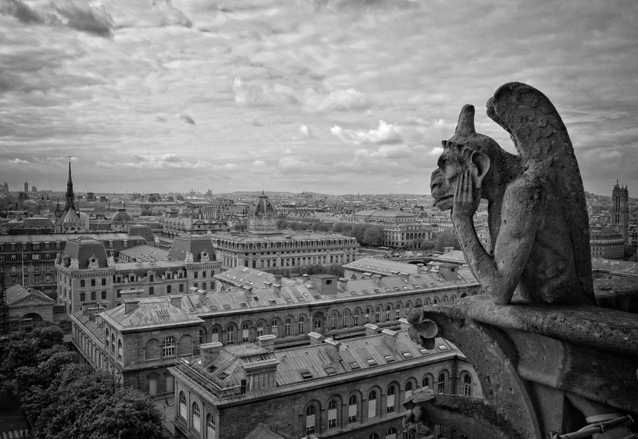 _JMD0820 - cópia copy - cópia copy.jpg _JMD0820 - cópia copy - cópia copy.jpg