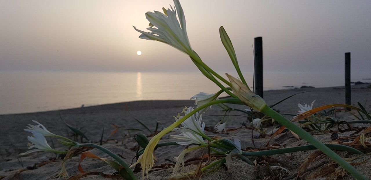 20180805_202305.jpg 20180805_202305.jpg