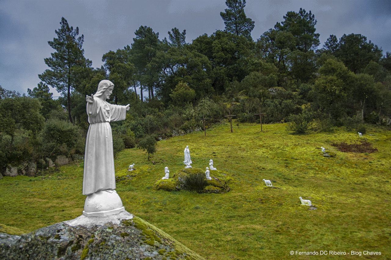 1600-nogueirinhas (212).jpg 1600-nogueirinhas (212).jpg