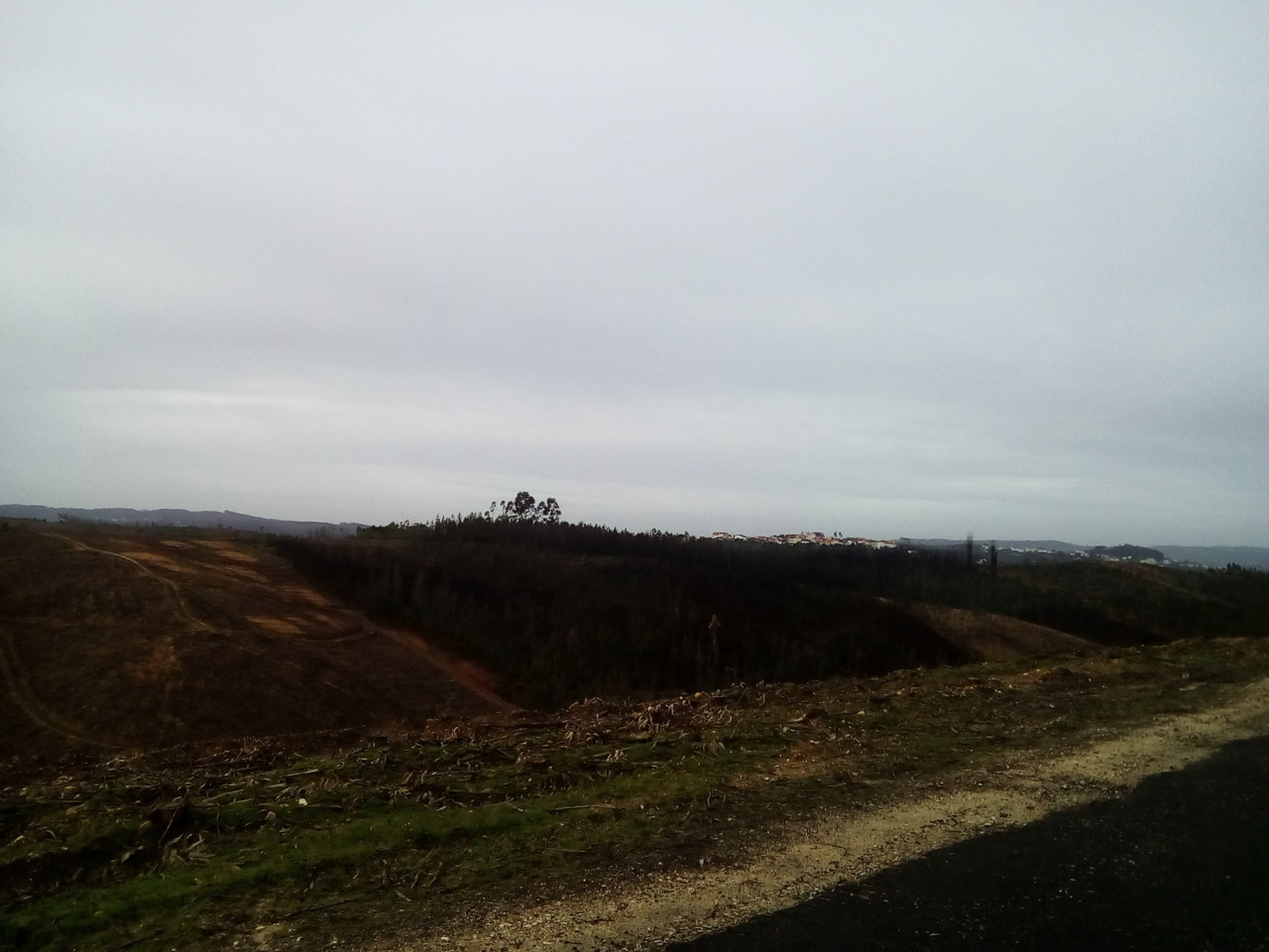 IMG_20190130_103002.jpg IMG_20190130_103002.jpg