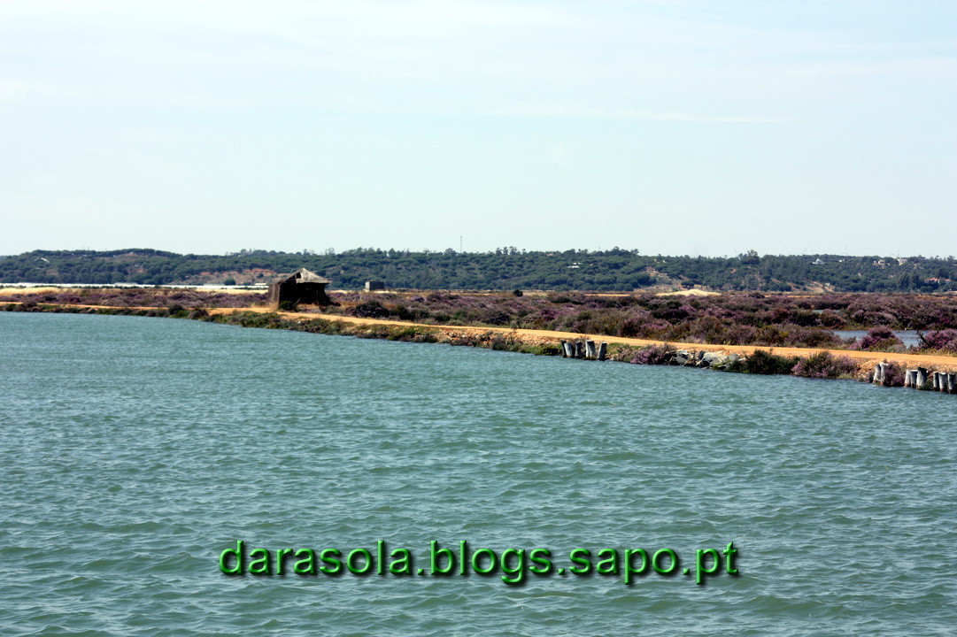 Maresmas_Isla_Canela_02.JPG Maresmas_Isla_Canela_02.JPG