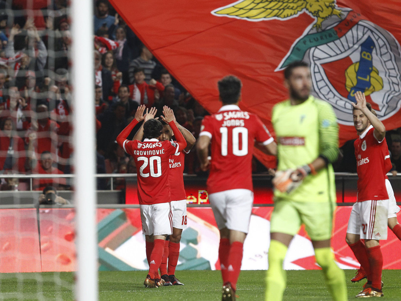 _JPT2033.jpg _JPT2033.jpg