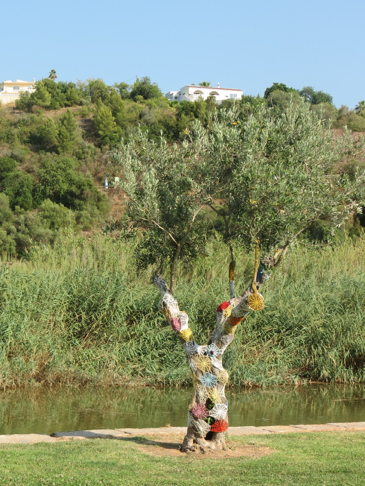 IMG_3419 - Cópia.JPG