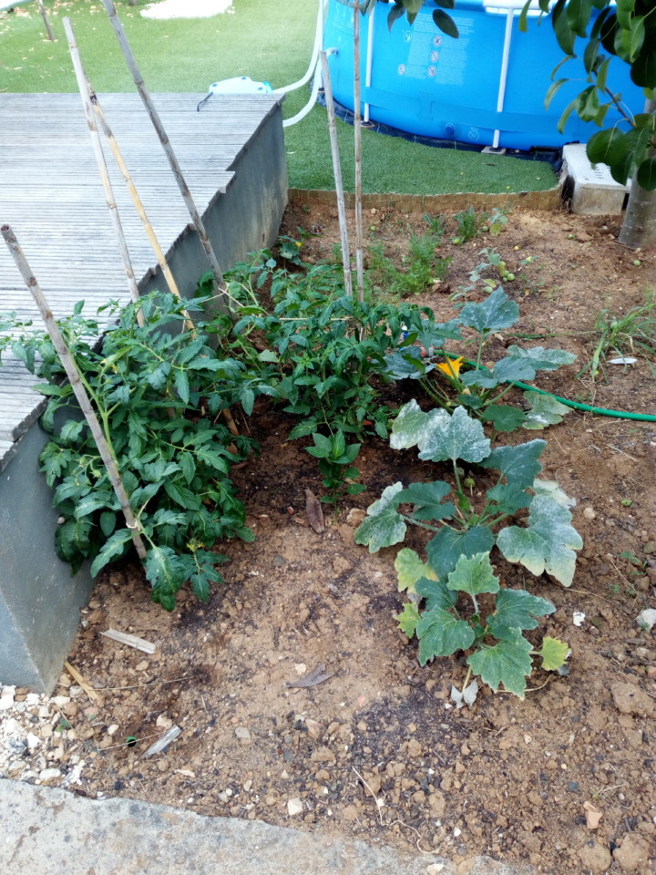 IMG_20180709_091111.jpg IMG_20180709_091111.jpg