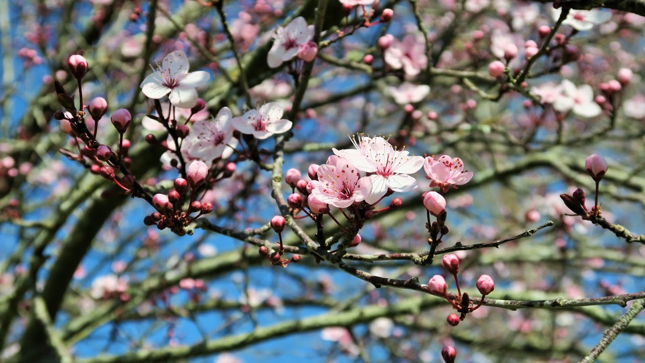 IMG_0049.JPG IMG_0049.JPG