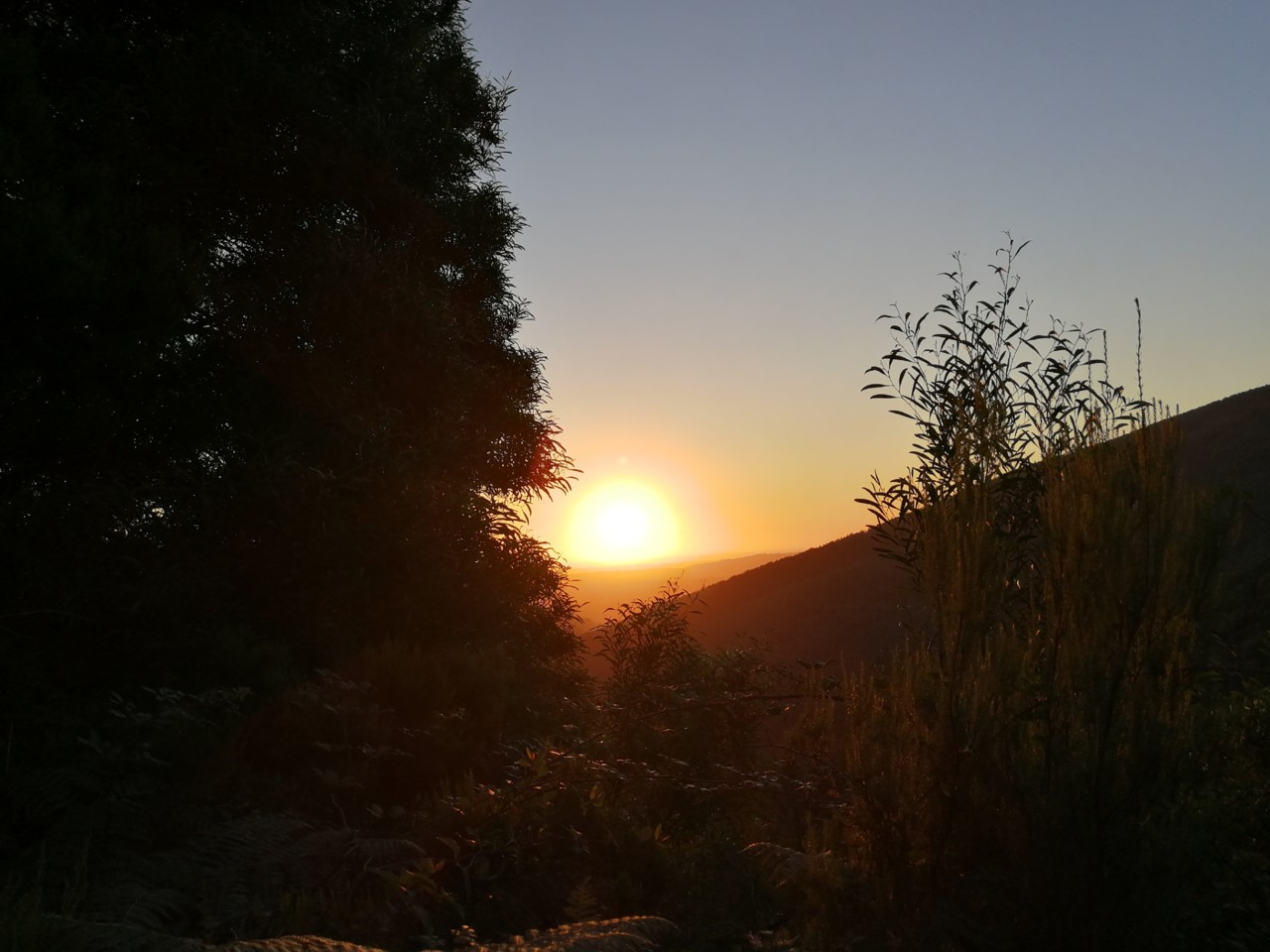 IMG_20180809_202815.jpg IMG_20180809_202815.jpg