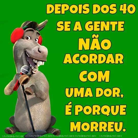 15894507_1512944875390137_8368098447533437368_n.jp