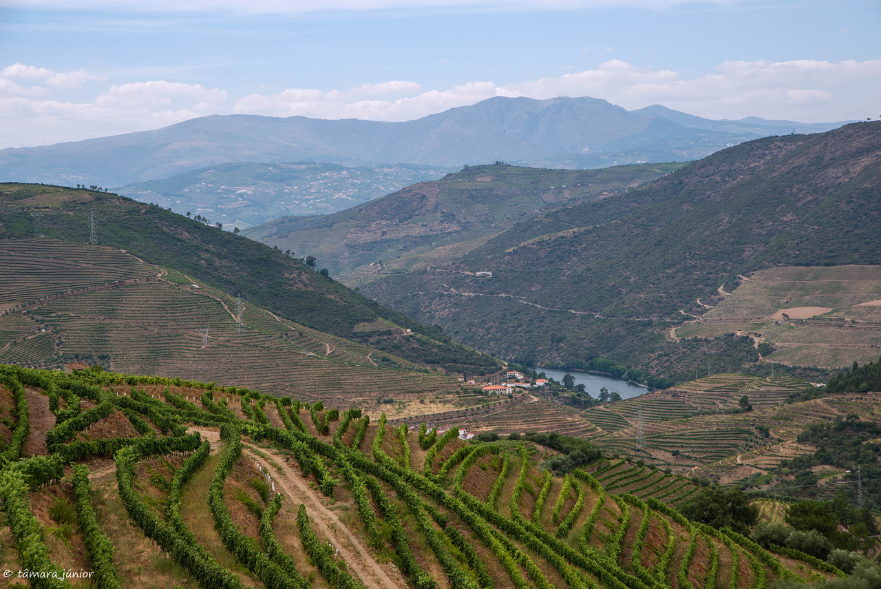 207.- Anos Angélica (Quinta Barroca-Amares) (135)