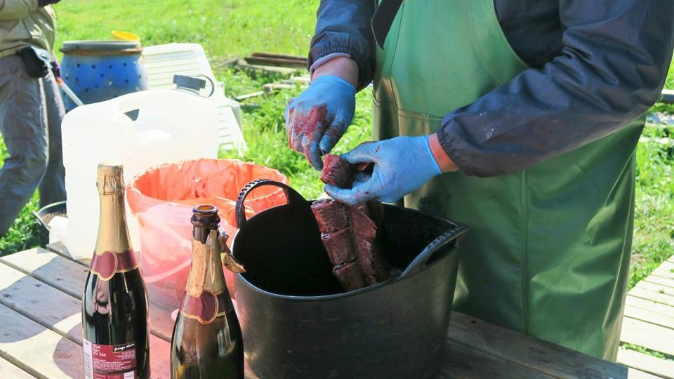 28379824_1863339347010492_1189449844857871913_n.jp