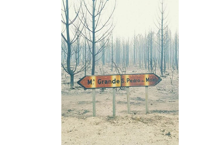 img_757x498$2017_10_16_14_47_26_677197_im_63643762 img_757x498$2017_10_16_14_47_26_677197_im_63643762