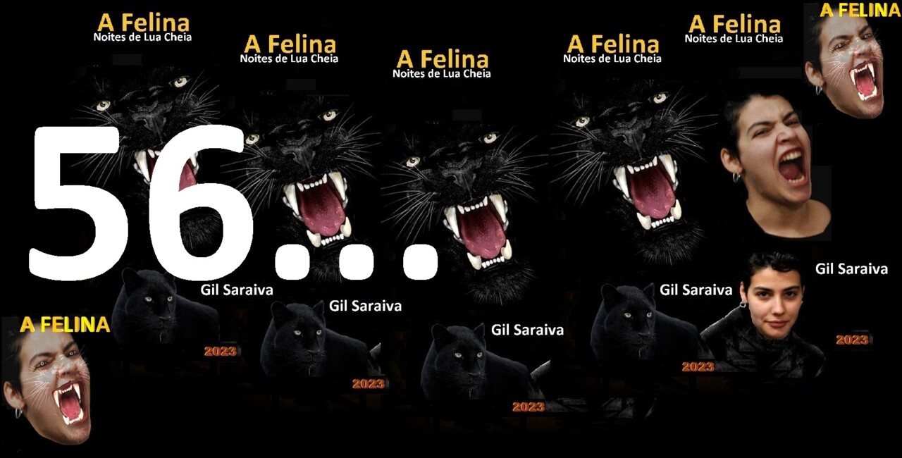 A Felina - 56.jpg