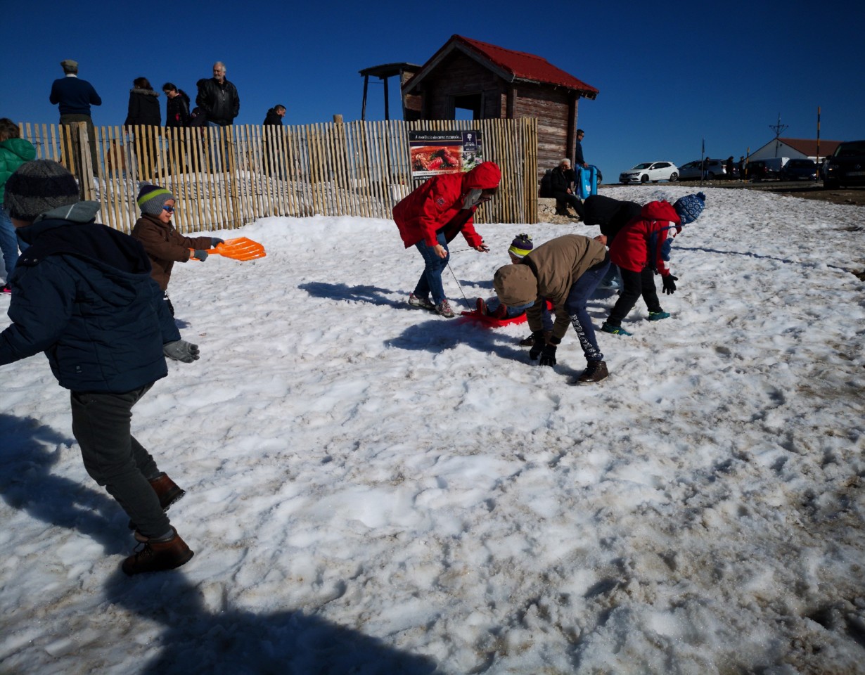 IMG_20190320_084006.jpg IMG_20190320_084006.jpg