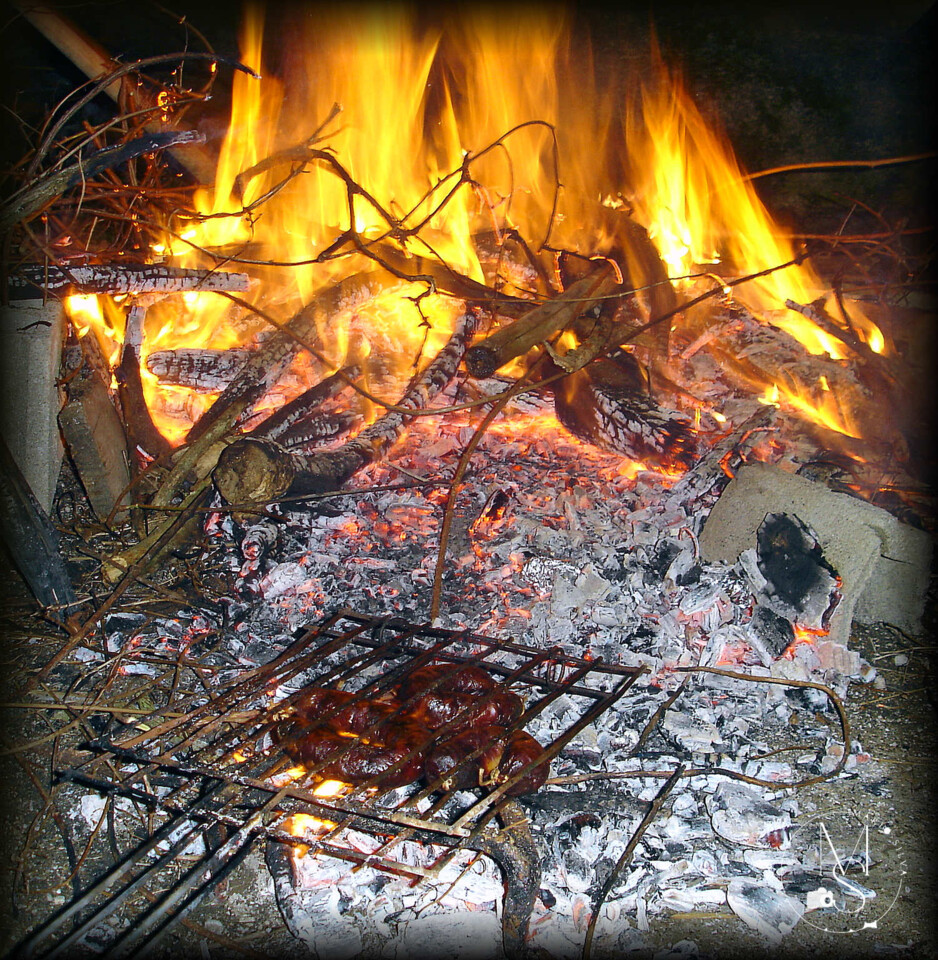 06Fev DSC05478_ms.JPG