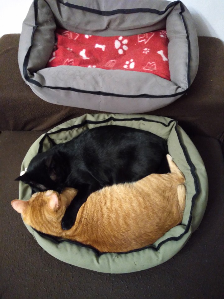 IMG_20191205_232827.jpg IMG_20191205_232827.jpg