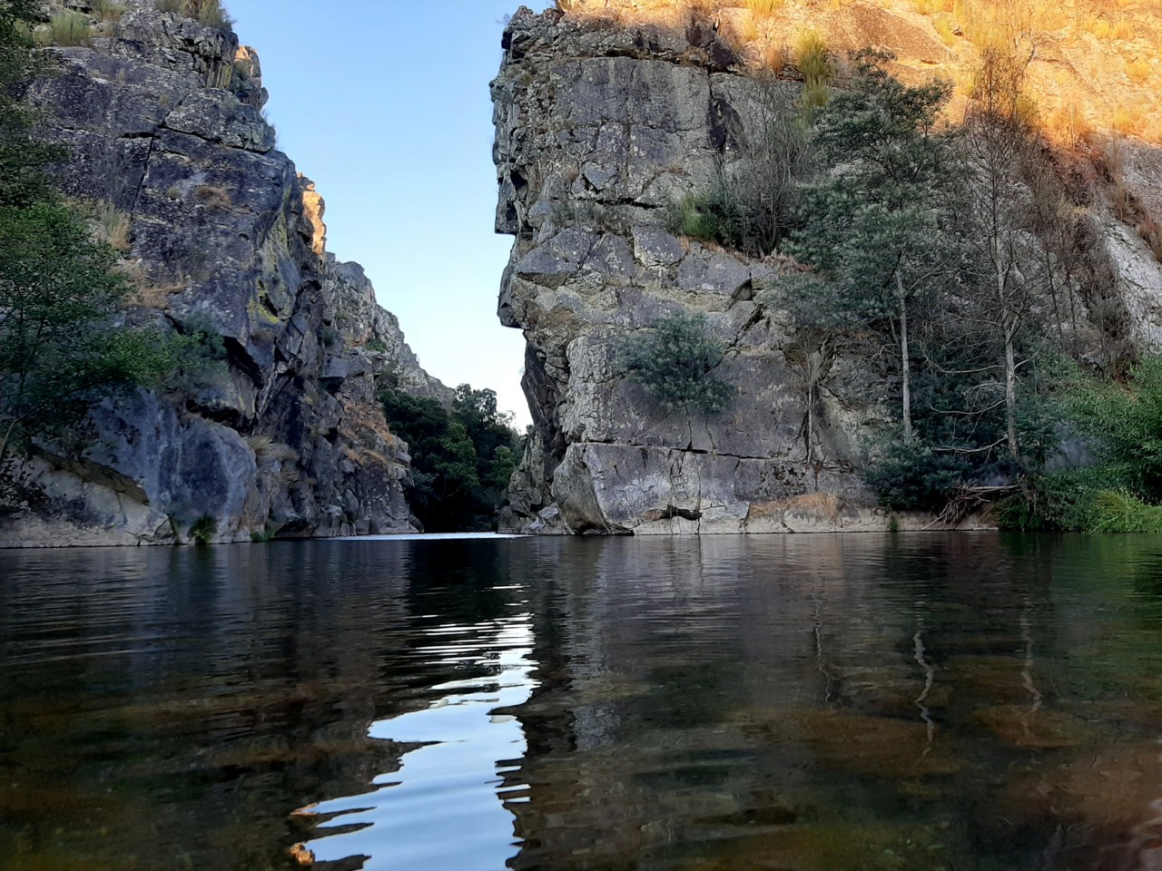 20200725_201546.jpg 20200725_201546.jpg