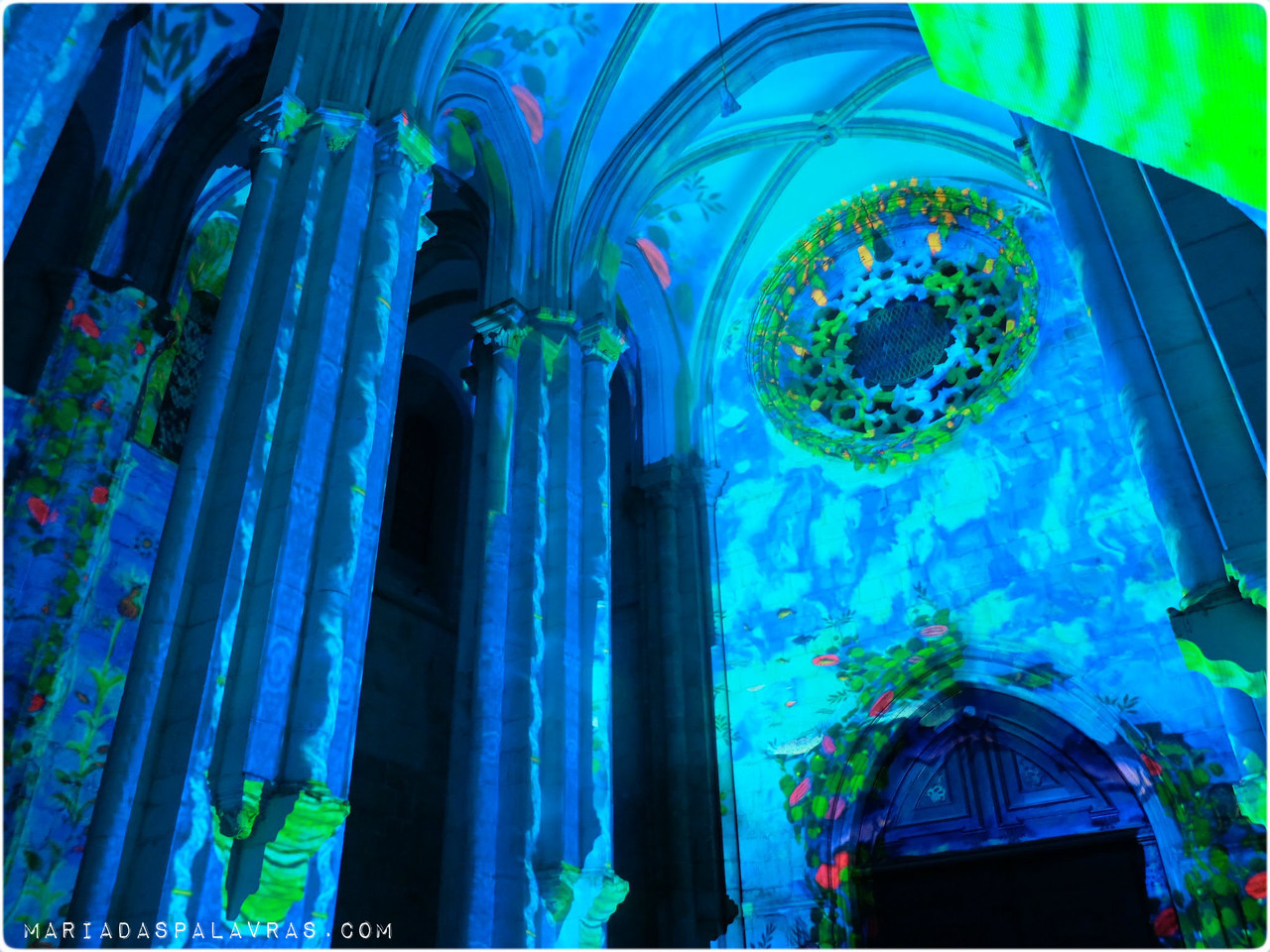 Experiência Odisseias em Alcobaça - Maria das Palavras