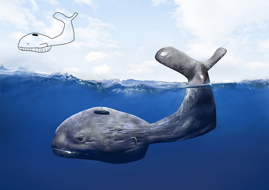 WHALE-finnsmall.jpg