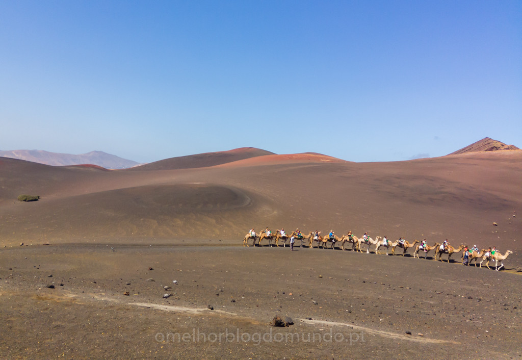 IMG_20150728_113827.jpg IMG_20150728_113827.jpg