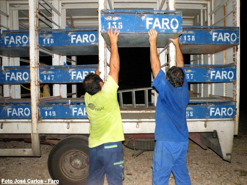 Derby Faro 2016 025.JPG