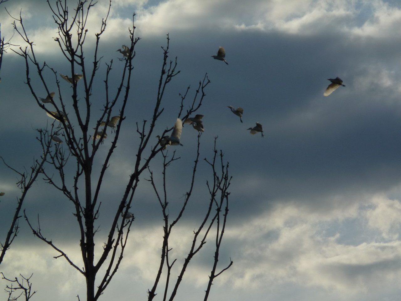 Passeio de barco (7).JPG