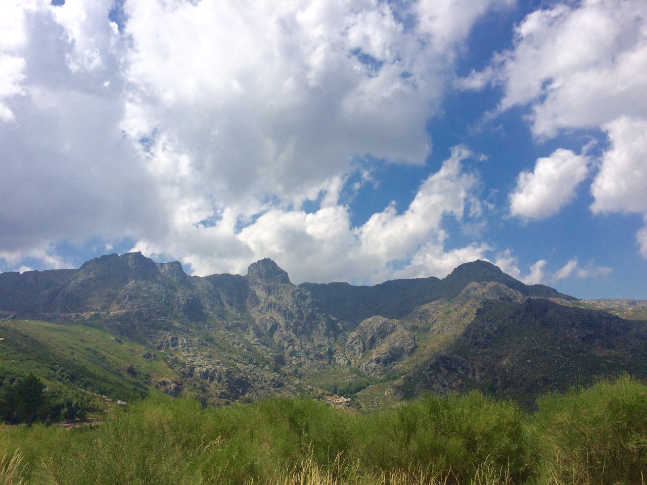 FullSizeRender.jpg FullSizeRender.jpg