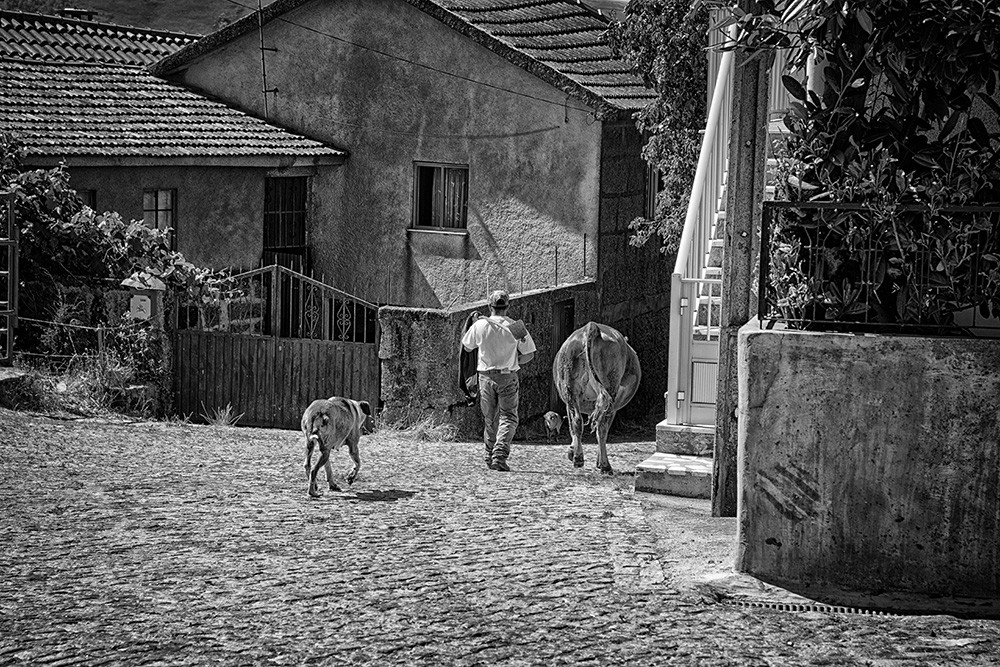 _JMF6547 copy copy.jpg