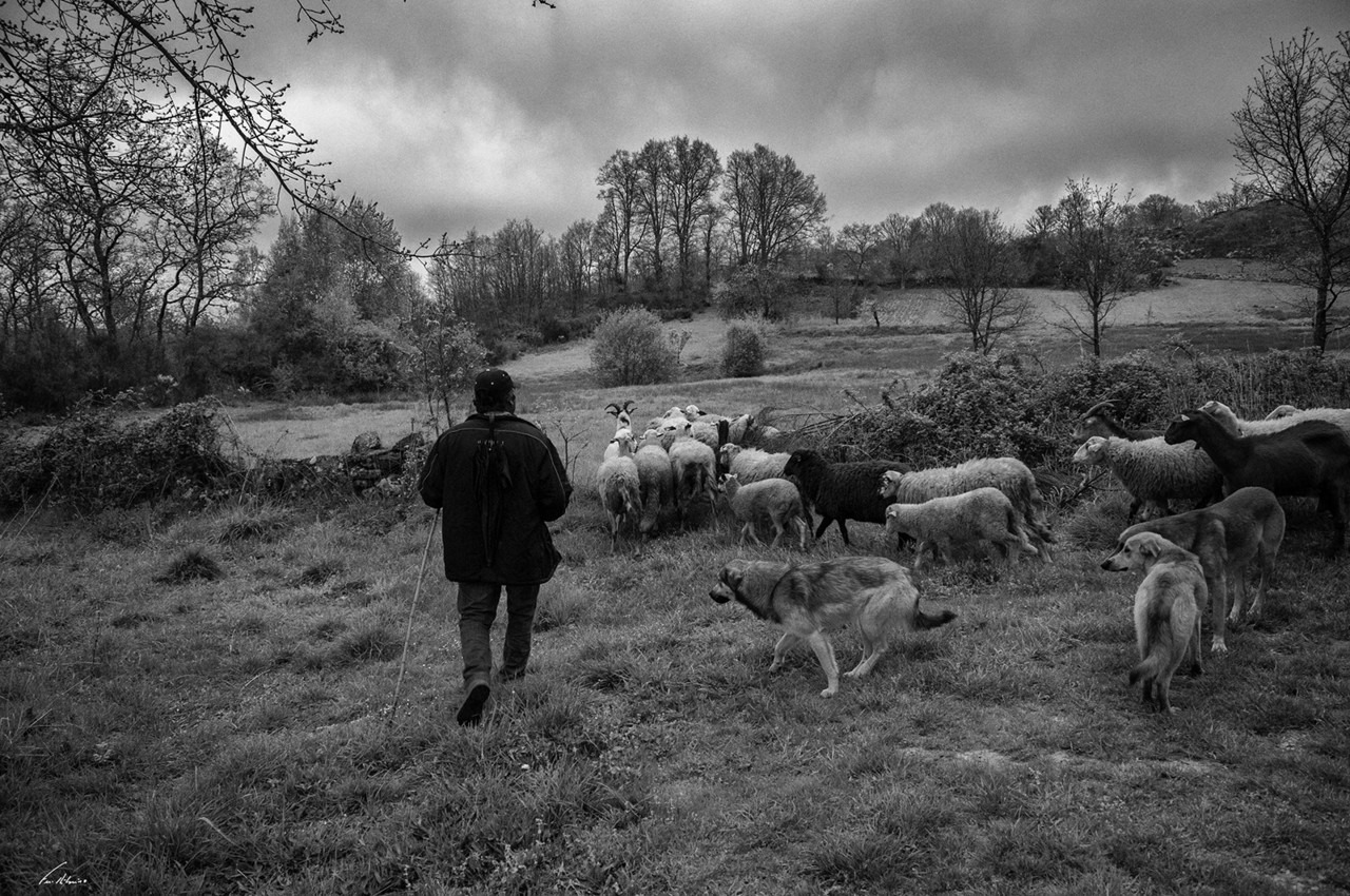 1600-vilar-perdiz (130).jpg