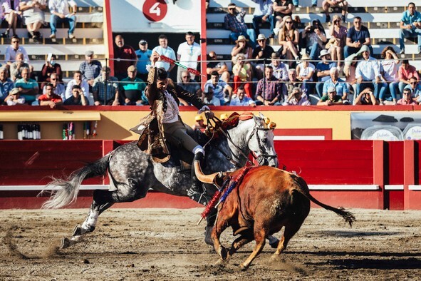 2-Ferro de Tiago Pamplona ao 1º toiro.jpg