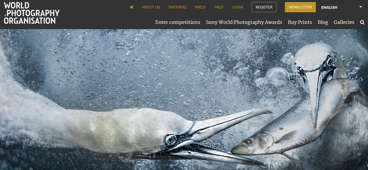 Concurso Fotográfico - Sony World Photography Awa
