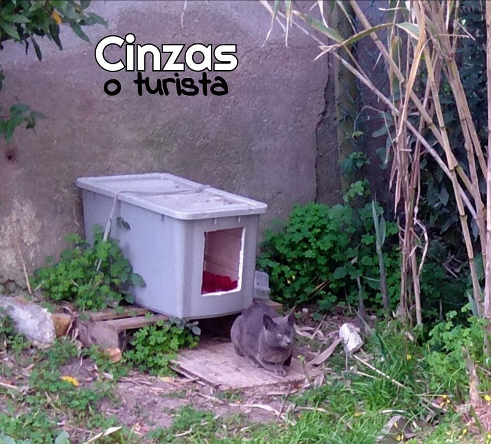 332144373_559736242768449_1159143452887531122_n.jp