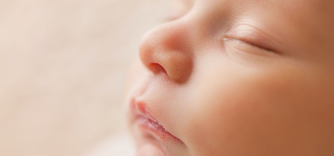 © o Diário de Katja