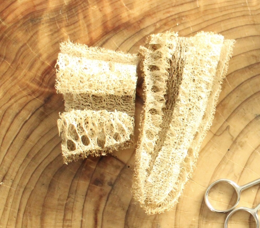 C3536AED-72B9-4D0C-9504-C373C2C8E310.jpeg C3536AED-72B9-4D0C-9504-C373C2C8E310.jpeg