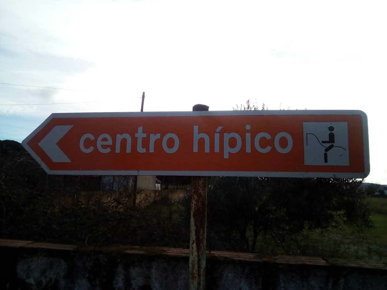 IMG_20190128_104427.jpg IMG_20190128_104427.jpg