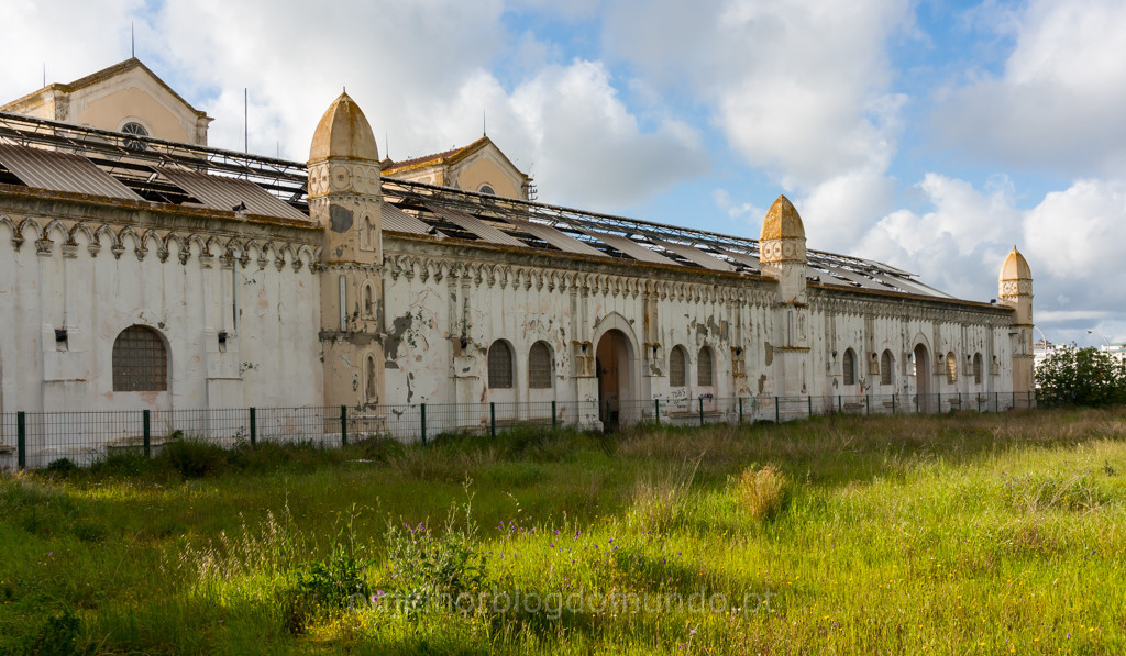 _DSC5592.jpg _DSC5592.jpg