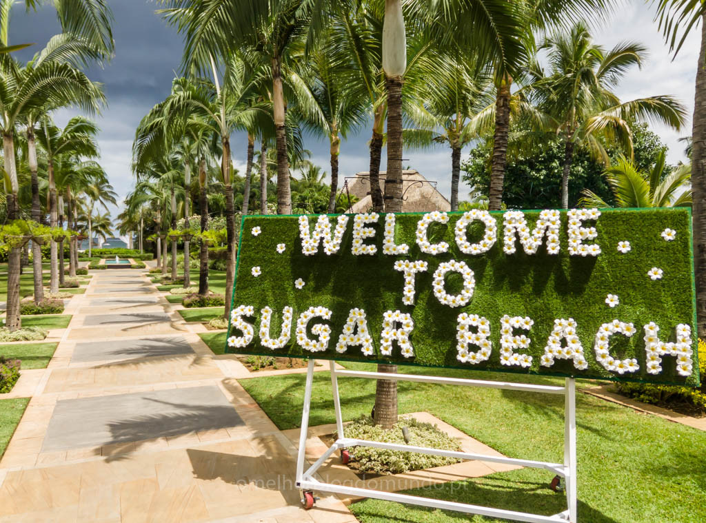 IMG_20170926_121018.jpg IMG_20170926_121018.jpg