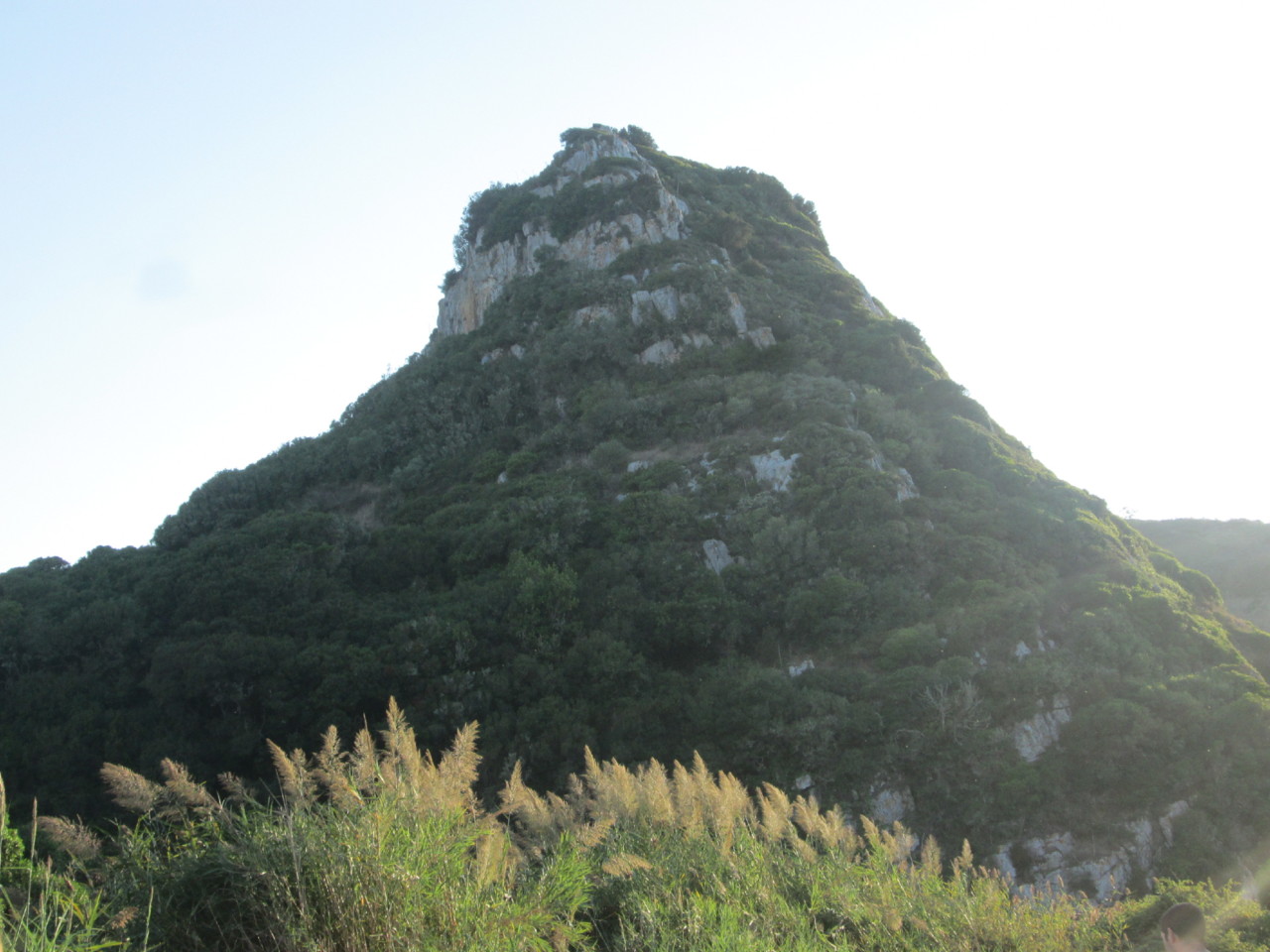 IMG_6687.JPG IMG_6687.JPG