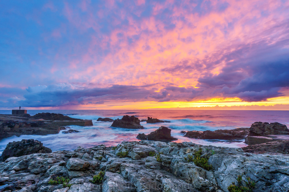 DSC07915-2.jpg DSC07915-2.jpg