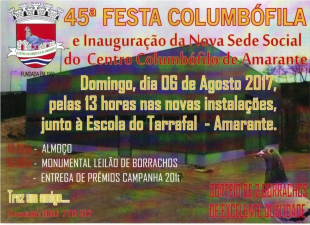 Leilão Amarante.jpg