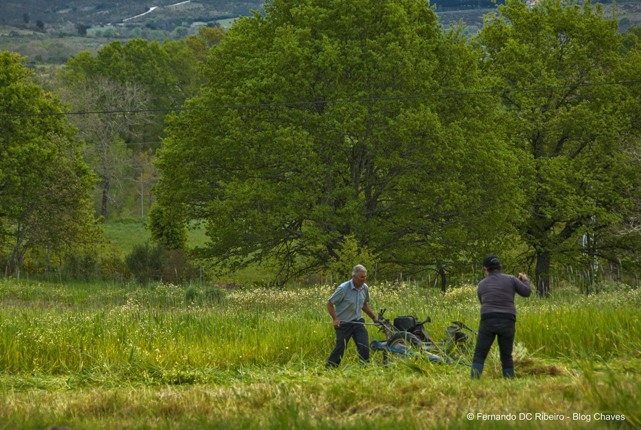 1600-torgueda (81).jpg