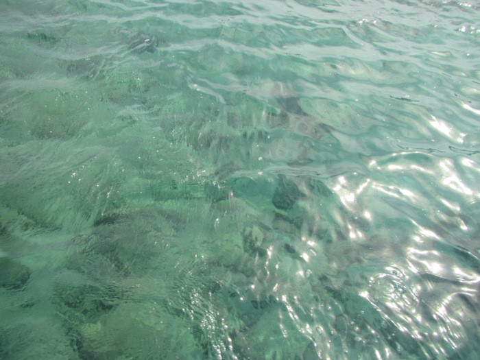 img_0321.jpg img_0321.jpg