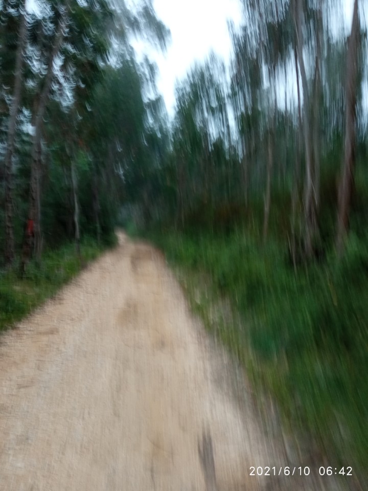 IMG_20210610_064238.jpg IMG_20210610_064238.jpg