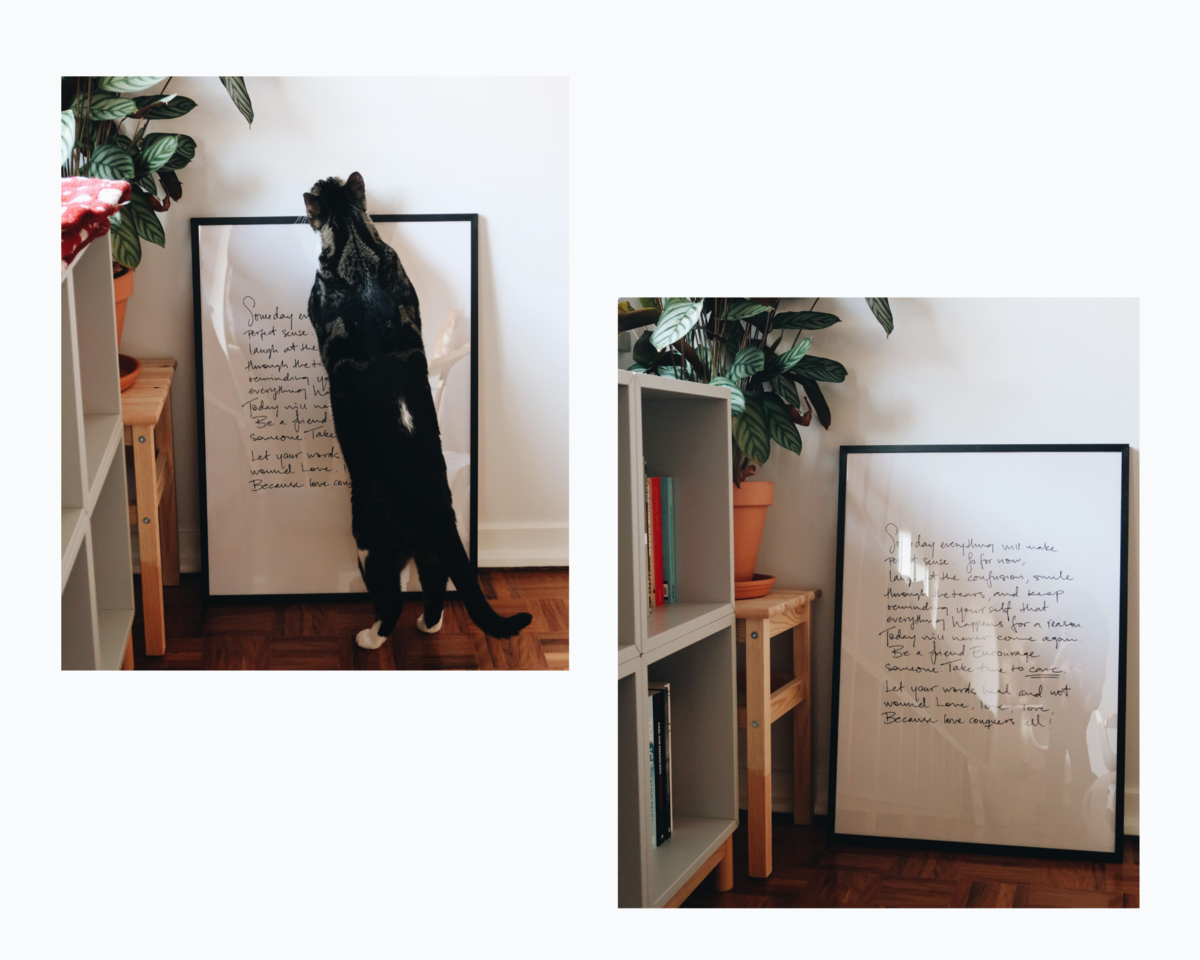 DESENIO-PRINTS.png DESENIO-PRINTS.png